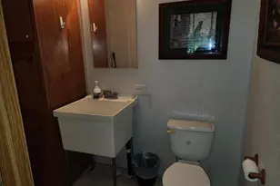 1230 US Hwy 45 N, Vienna, IL 62995 - Photo 73