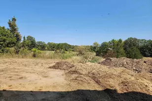 1230 US Hwy 45 N, Vienna, IL 62995 - Photo 21