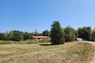 1230 US Hwy 45 N, Vienna, IL 62995 - Photo 39