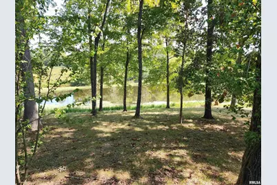 1230 US Hwy 45 N, Vienna, IL 62995 - Photo 69