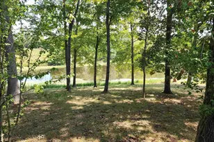 1230 US Hwy 45 N, Vienna, IL 62995 - Photo 69