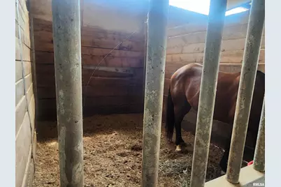 1230 US Hwy 45 N, Vienna, IL 62995 - Photo 11