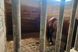 1230 US Hwy 45 N, Vienna, IL 62995 - Photo 11