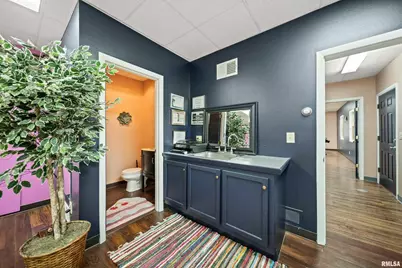 1703 10th Avenue, Fulton, IL 61252 - Photo 21