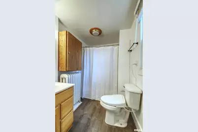 828 10th Avenue, Fulton, IL 61252 - Photo 17