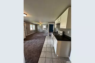 920 5th Street, Colona, IL 61241 - Photo 13