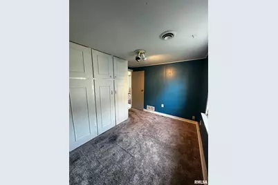 920 5th Street, Colona, IL 61241 - Photo 11