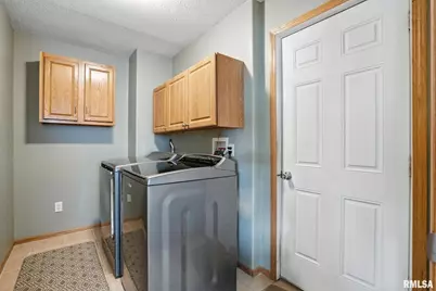 106 Valley View Drive, Sherrard, IL 61281 - Photo 15