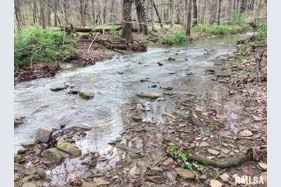 285 Sally Holler Rd Road, Harrisburg, IL 62946 - Photo 45