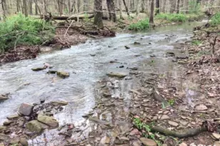 285 Sally Holler Rd Rd, Harrisburg, IL 62946 - Photo 45