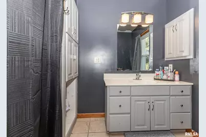 111 N West Street, Cambridge, IL 61238 - Photo 29