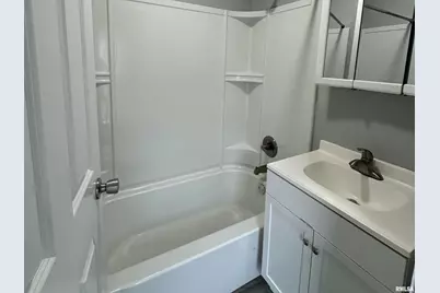 1007 29th Street, Moline, IL 61265 - Photo 11