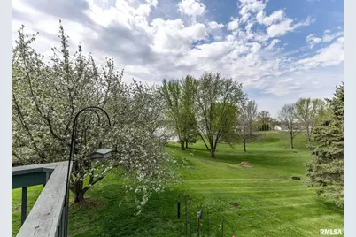 631 Suncrest Drive, Sherrard, IL 61281 - Photo 27