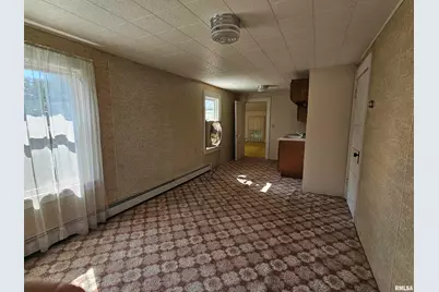 127 N Vail Street, Geneseo, IL 61254 - Photo 19