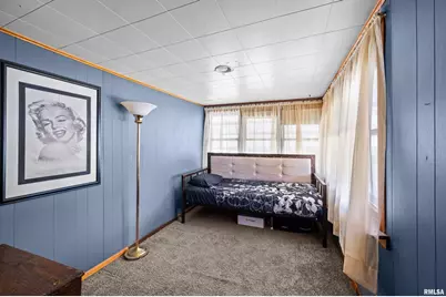 702 Eaton Street, Savanna, IL 61074 - Photo 5