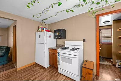 702 Eaton Street, Savanna, IL 61074 - Photo 13