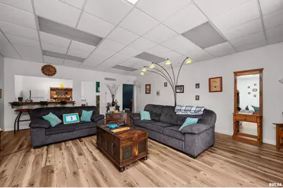 309 Main Street, Savanna, IL 61074 - Photo 21