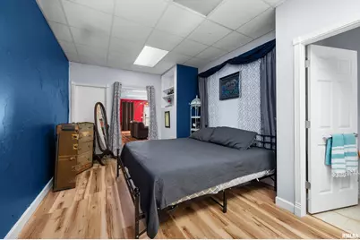 309 Main Street, Savanna, IL 61074 - Photo 29