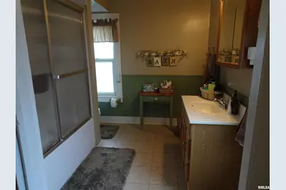 522 N State Street, Geneseo, IL  - Photo 13