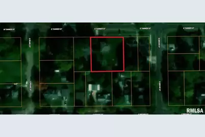 150 E Tanner Street, Waverly, IL 62692 - Photo 5