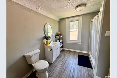 1215 13th Street, Viola, IL 61486 - Photo 21