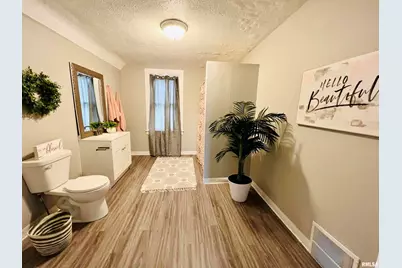 1215 13th Street, Viola, IL 61486 - Photo 35