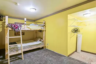 305 E 3rd Street, Mineral, IL 61344 - Photo 15