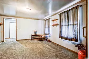 305 E 3rd St, Mineral, IL 61344 - Photo 11