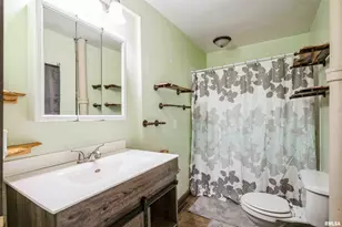 305 E 3rd St, Mineral, IL 61344 - Photo 9