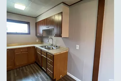 403 E Chestnut Street, Geneseo, IL 61254 - Photo 13