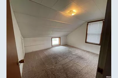 403 E Chestnut Street, Geneseo, IL 61254 - Photo 21