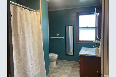 403 E Chestnut Street, Geneseo, IL 61254 - Photo 15