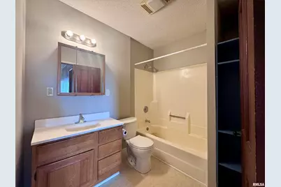 916 7th Street, Fulton, IL 61252 - Photo 23