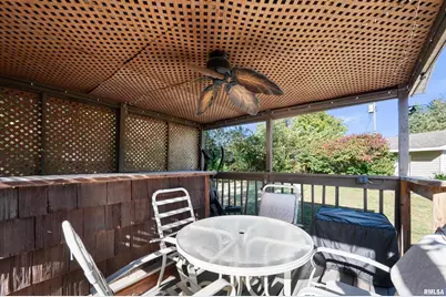 202 5th Street, Matherville, IL 61263 - Photo 31