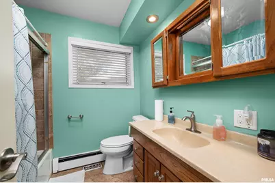 202 5th Street, Matherville, IL 61263 - Photo 9