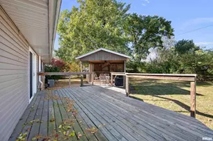 202 5th St, Matherville, IL 61263 - Photo 29