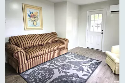 607 N Bluff Street, Albany, IL 61230 - Photo 5