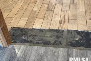 1726 W Granview Dr, Quincy, IL 62301 - Photo 21