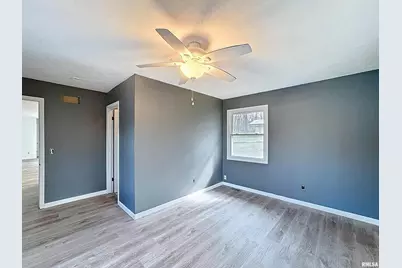 6520 US 150 Highway, Alpha, IL 61413 - Photo 13