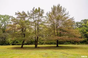 5340 45 S Hwy, Harrisburg, IL 62946 - Photo 21