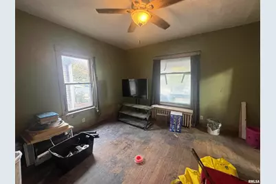 111 N Park Street, Savanna, IL 61074 - Photo 7