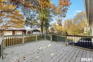 424 Docia St, Hinsdale, IL 61257 - Photo 39
