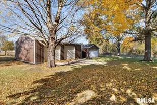 424 Docia St, Hinsdale, IL 61257 - Photo 45