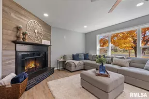 424 Docia St, Hinsdale, IL 61257 - Photo 11