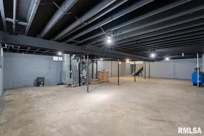 424 Docia Street, Hinsdale, IL 61257 - Photo 37