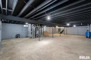 424 Docia St, Hinsdale, IL 61257 - Photo 37