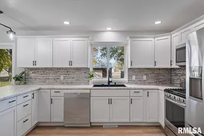 424 Docia Street, Hinsdale, IL 61257 - Photo 13