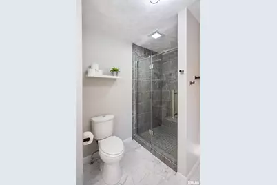 12 Timber Lane, Geneseo, IL 61254 - Photo 25