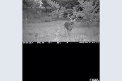 16379 N Sand Road, Fulton, IL 61252 - Photo 25