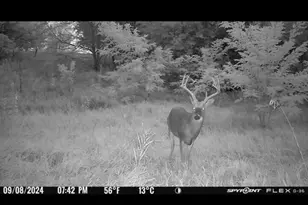 16379 N Sand Rd, Fulton, IL 61252 - Photo 25